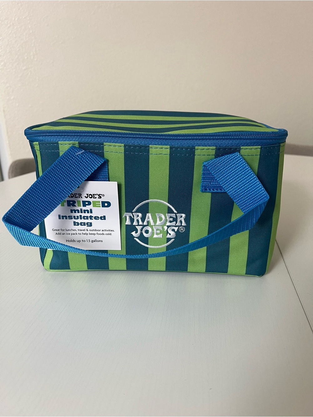 Trader Joe’s Mini Insulated Green & Blue Striped Bag